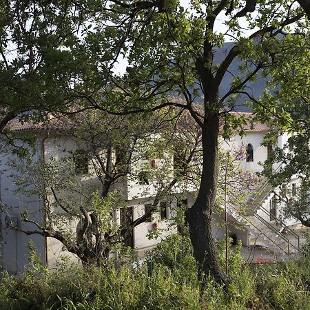 Kavoulakos Studios Skoutárion Buitenkant foto