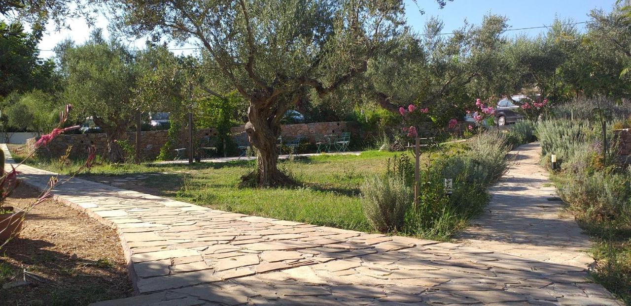 Kavoulakos Studios Skoutárion Buitenkant foto