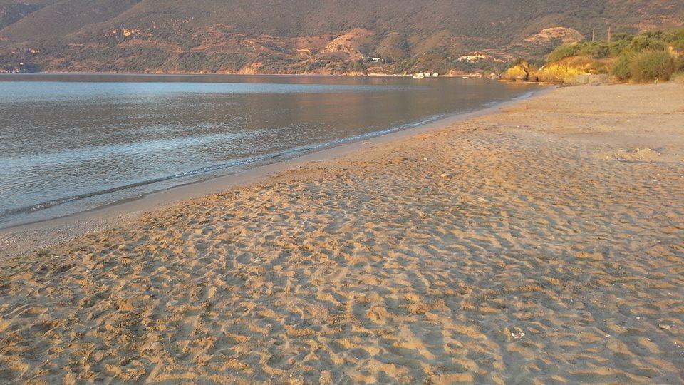 Kavoulakos Studios Skoutárion Buitenkant foto